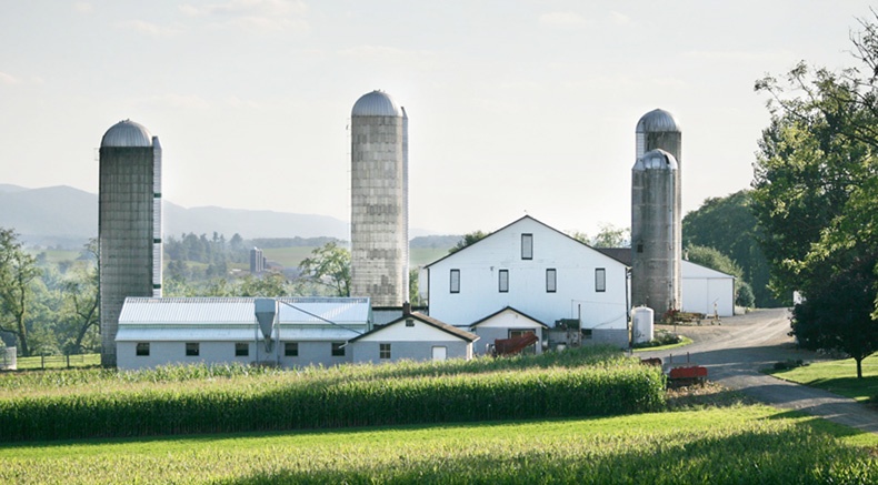 Livestock Monitoring