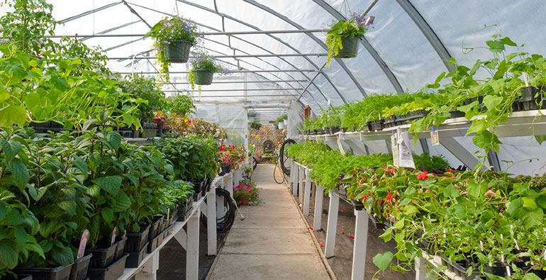 Greenhouse Sensors