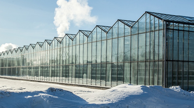 Winter Greenhouse