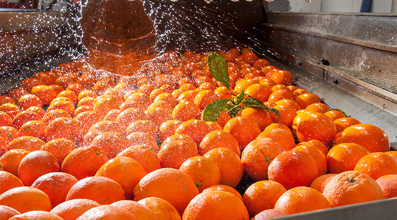 food processing wastewater monitoring