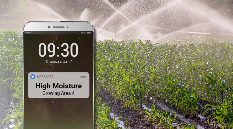 Soil moisture monitoring
